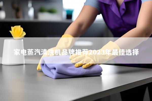 家电蒸汽清洗机品牌推荐2023年最佳选择
